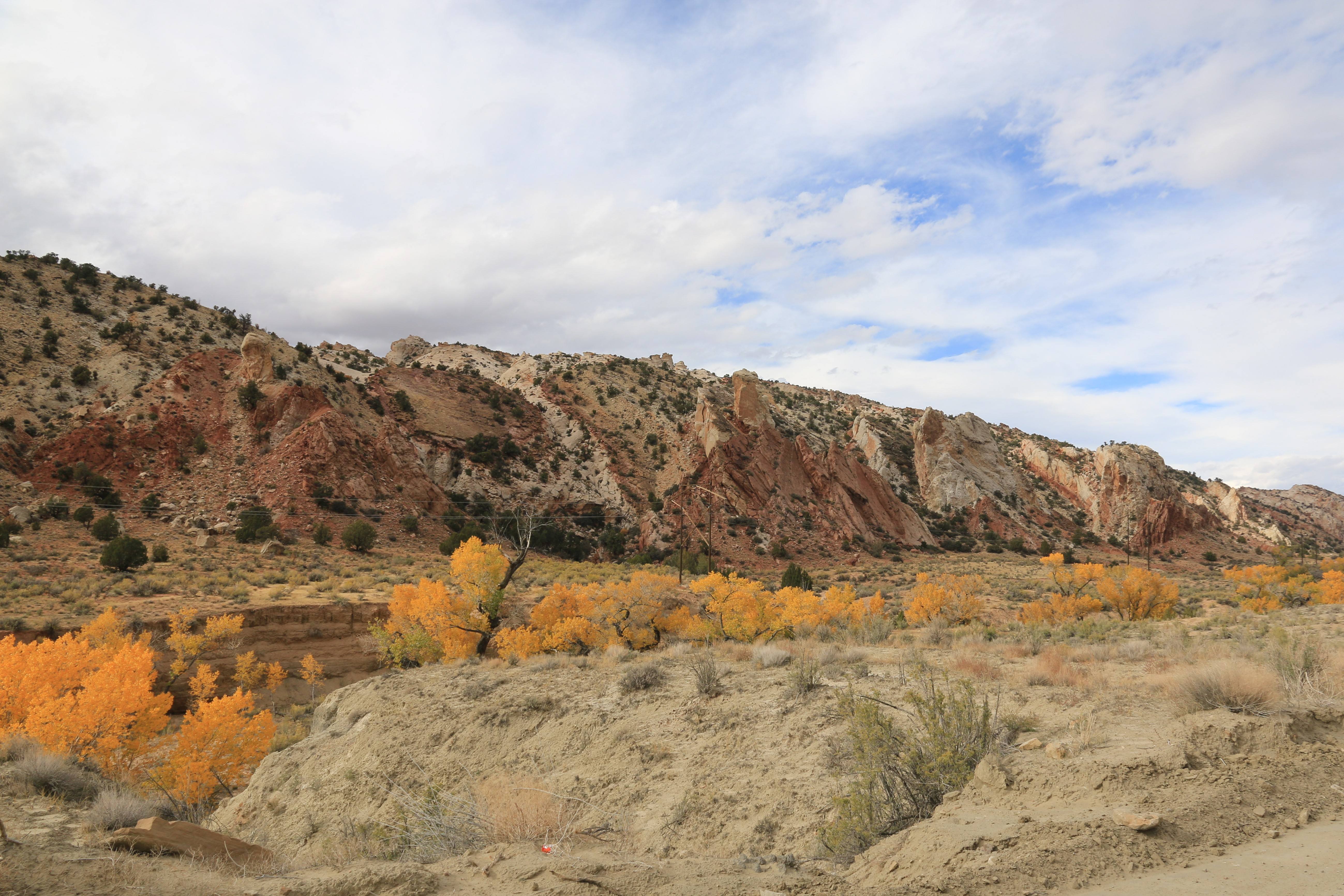 Escalante